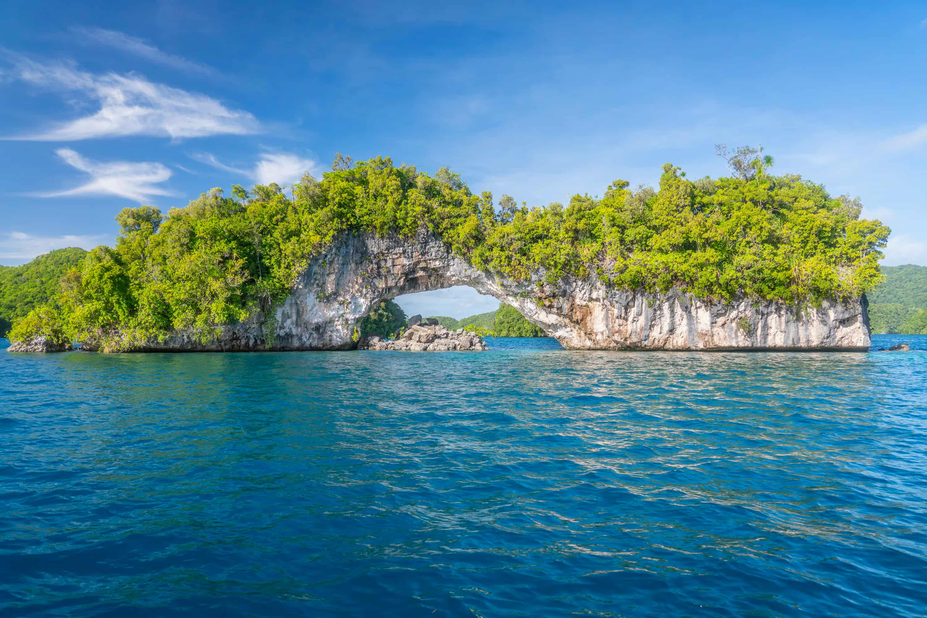 an island in the middle of a body of water